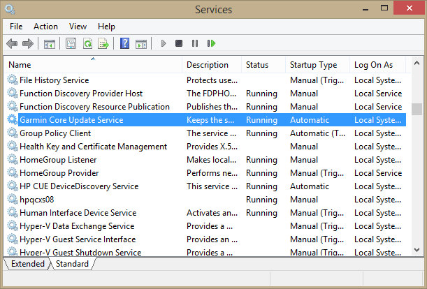 Service Garmin Core Update_service