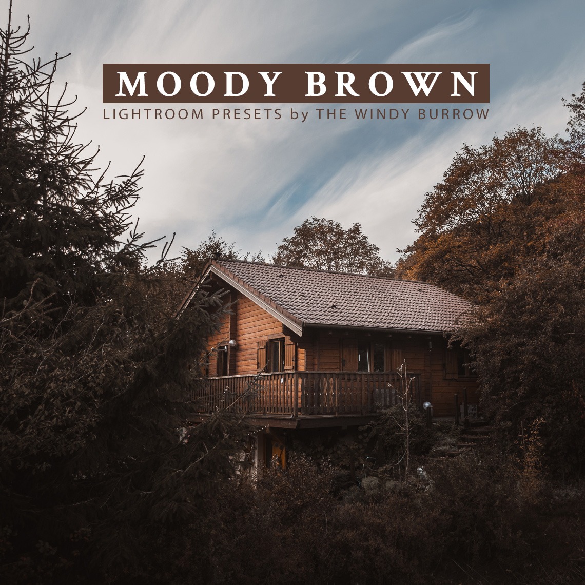 Presets Moody brown pour Lightroom